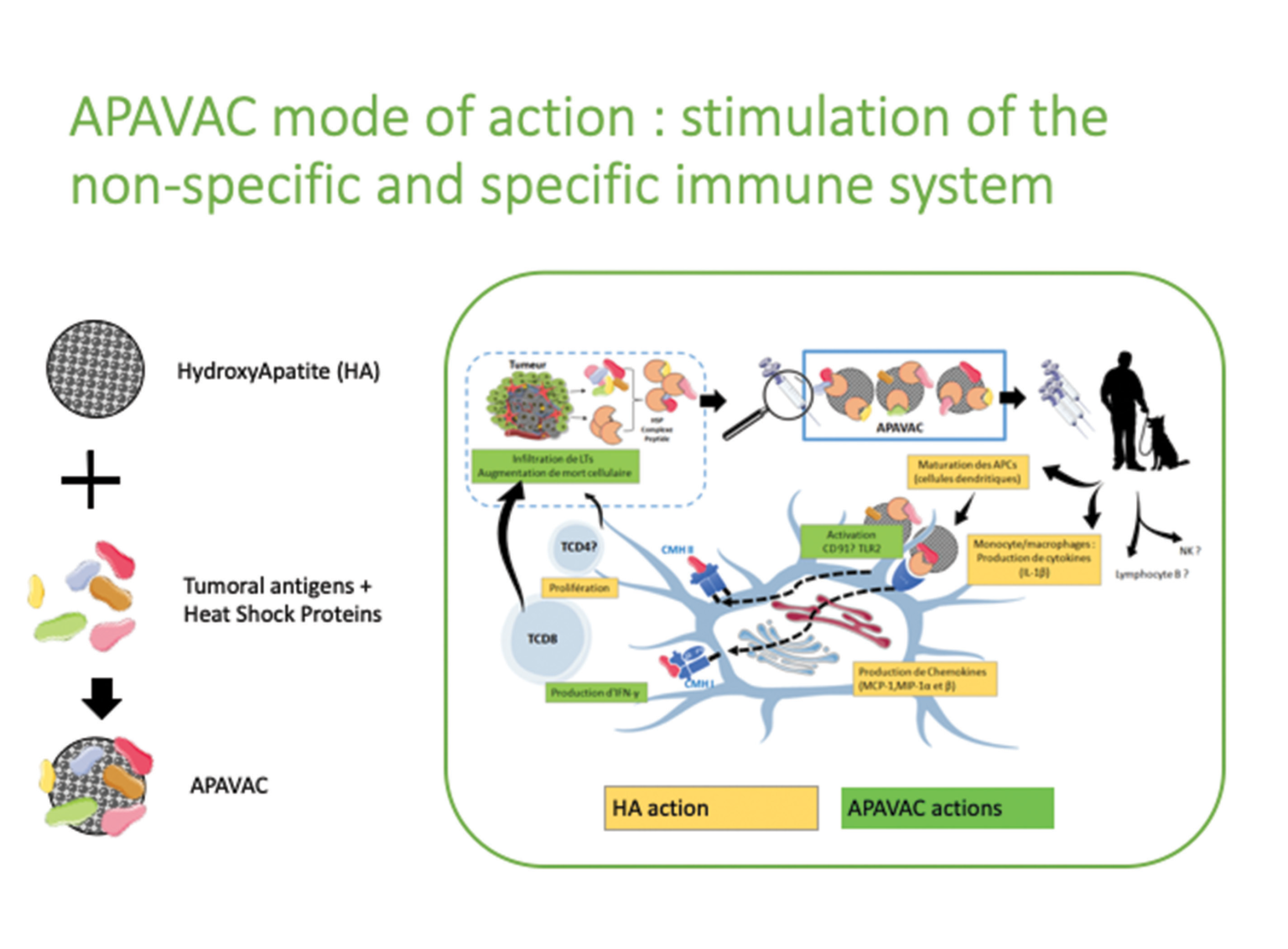 APAVAC Immunotherapy - Vetlig