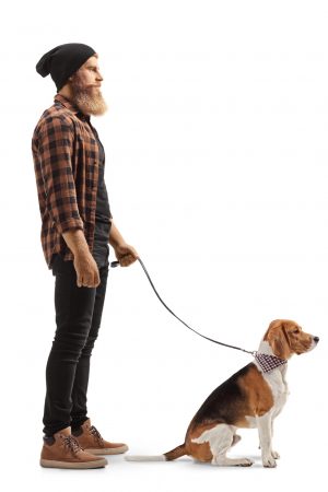Full length profile shot of a bearded man with a basset hound dog isolated on white background